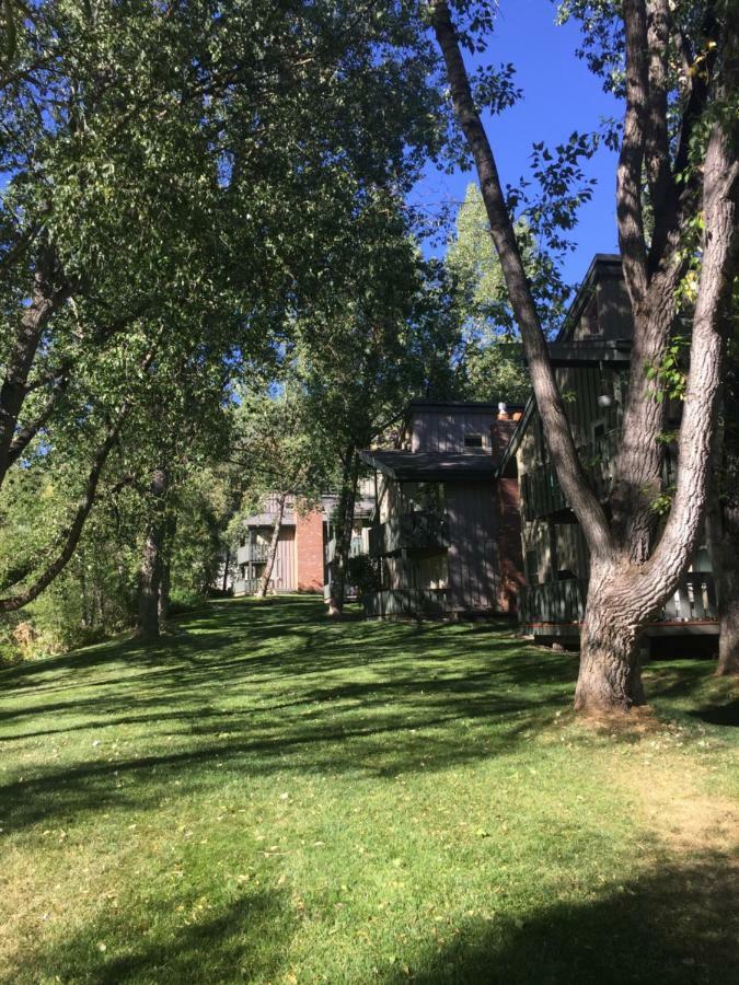 Spectacular Apartment, Close To Lions Head, Next To Bus Stop Vail Exterior photo